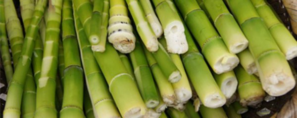 新鲜小笋怎么保存