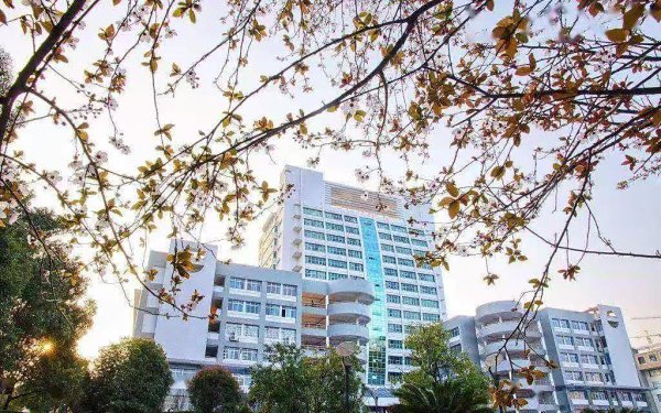 湖南最好的大学是哪一所学校