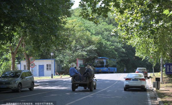 科目三一把过绝招