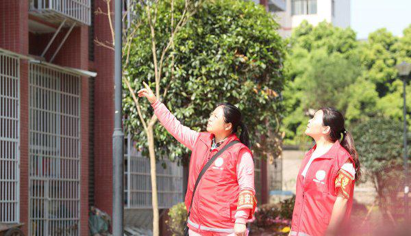 网格员是什么编制