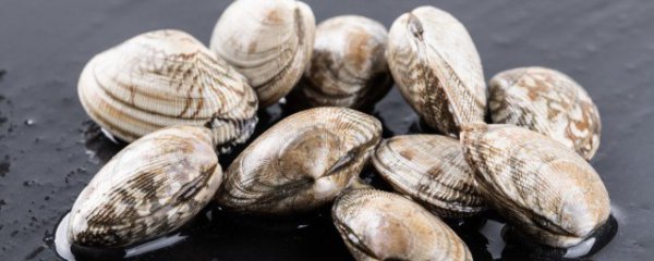 蛤蜊几月份吃最好