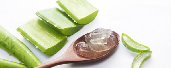 新鲜芦荟有什么功效