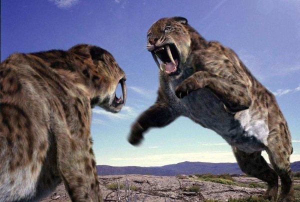 月球上看地球真实图片