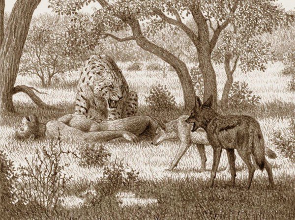 月球上看地球真实图片