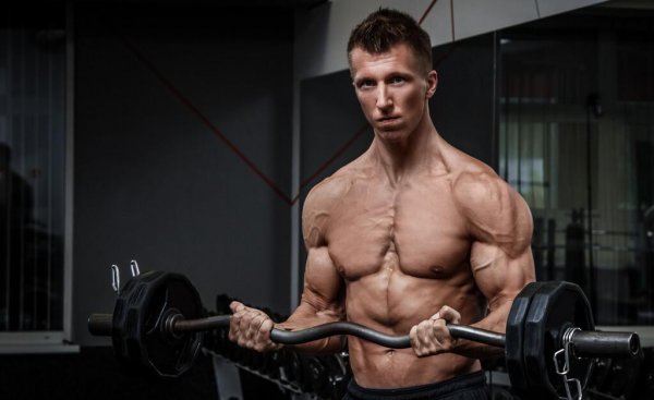 引体向上上不去先练什么动作