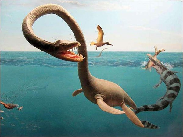 上古时期海洋霸主是谁