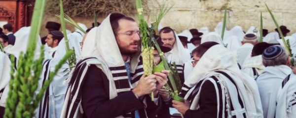 住棚节是什么意思