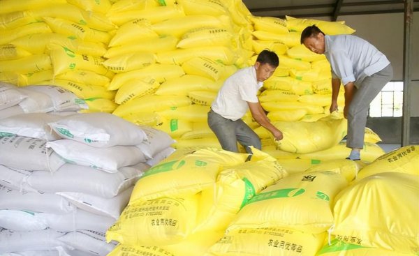 氮肥作用于植物的哪个部位