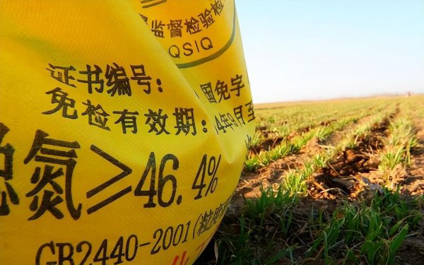 氮肥作用于植物的哪个部位