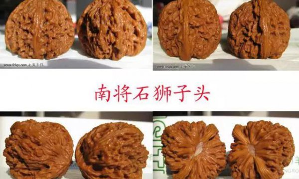 文玩核桃50种大全