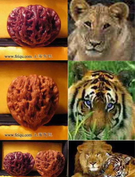 文玩核桃50种大全