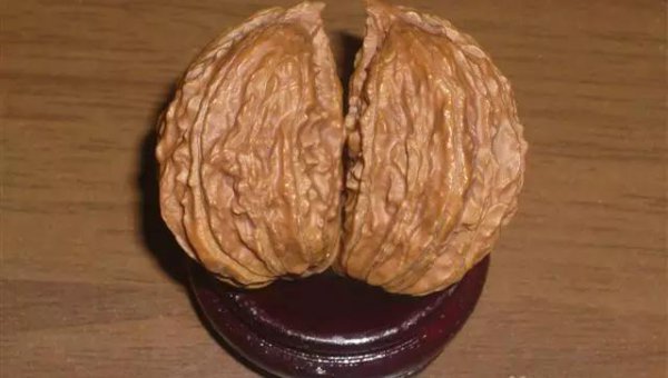 文玩核桃50种大全