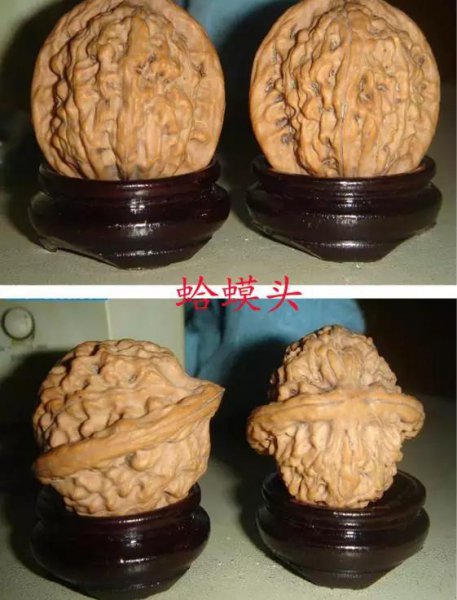 文玩核桃50种大全