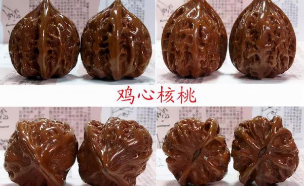 文玩核桃50种大全