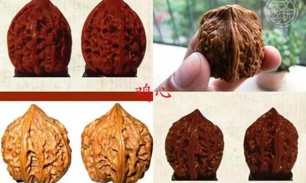 文玩核桃50种大全