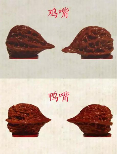 文玩核桃50种大全
