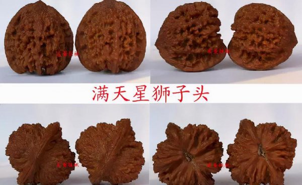 文玩核桃50种大全