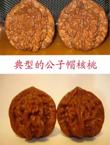 文玩核桃50种大全