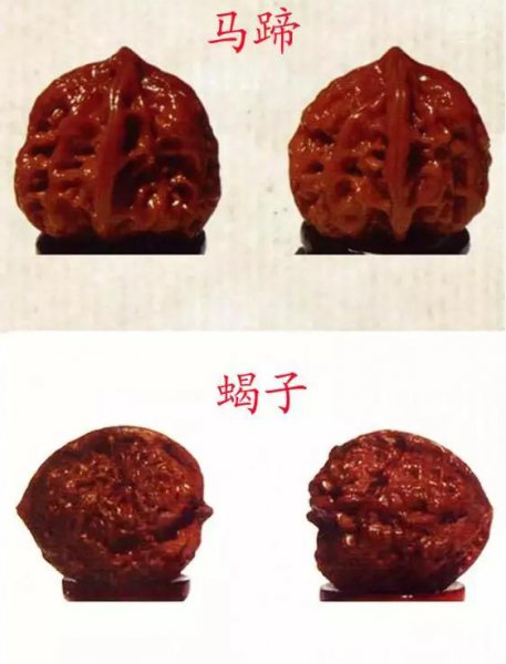 文玩核桃50种大全