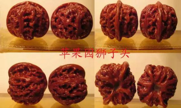 文玩核桃50种大全