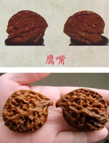 文玩核桃50种大全
