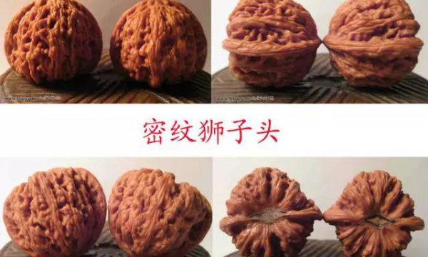 文玩核桃50种大全