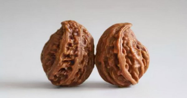 文玩核桃50种大全