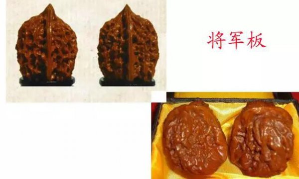文玩核桃50种大全