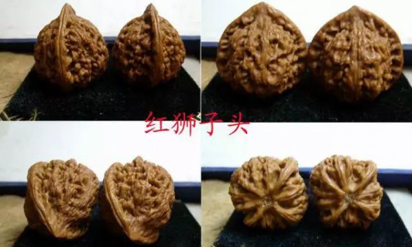 文玩核桃50种大全