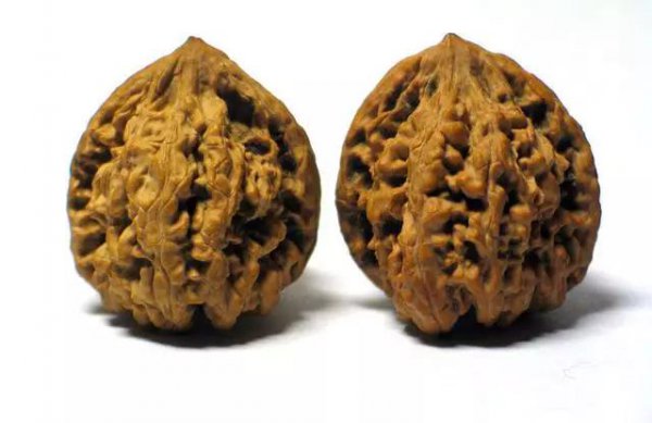 文玩核桃50种大全
