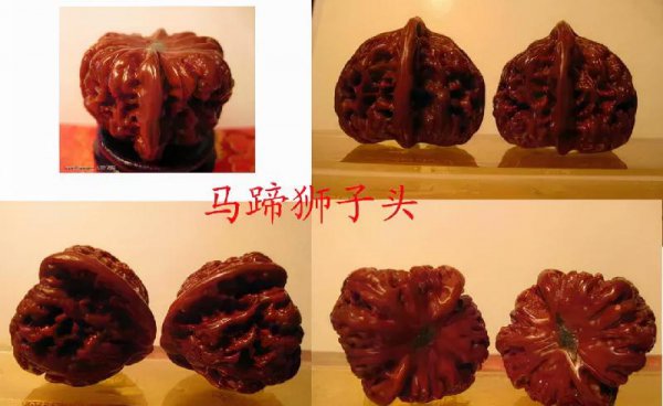 文玩核桃50种大全