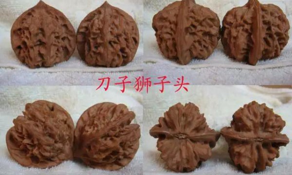 文玩核桃50种大全