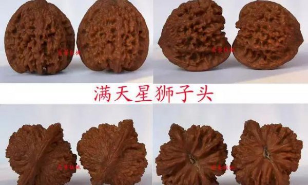 文玩核桃50种大全
