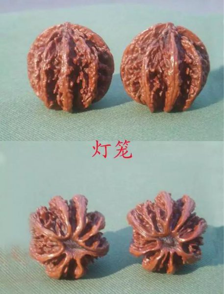 文玩核桃50种大全