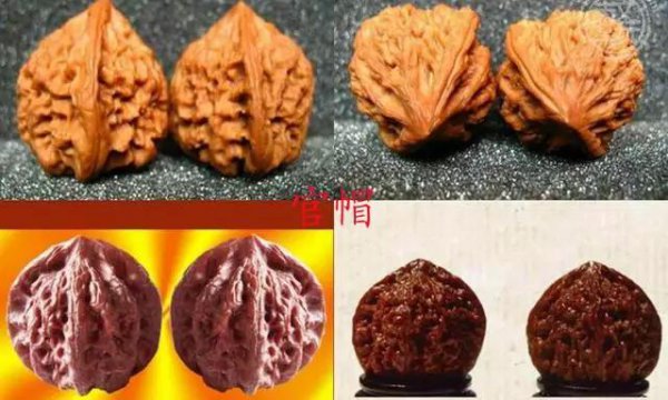文玩核桃50种大全