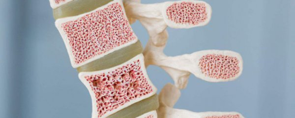 骨髓在人体哪个部位