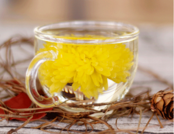 菊花品质好的茶有哪些品种