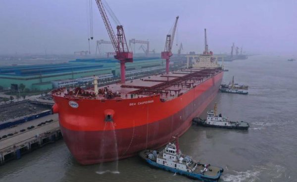 中国最大的船有多大