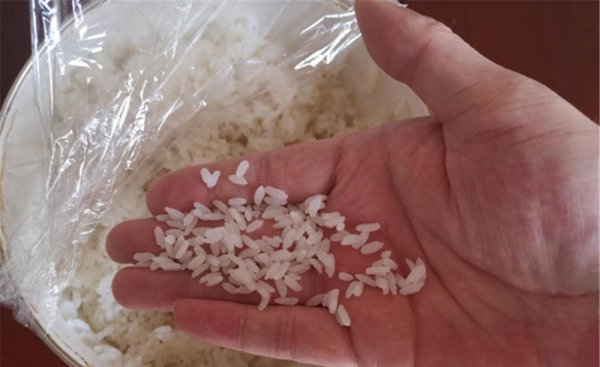 夏季野钓鲫鱼用什么饵料最好