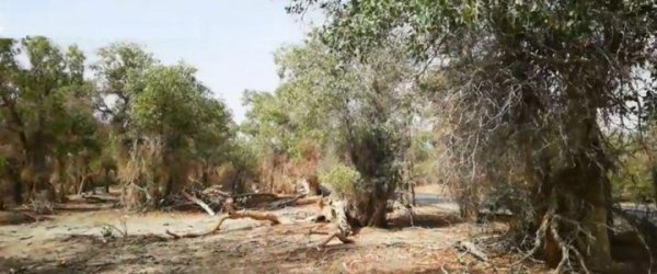 九月份国内适合去哪里旅游