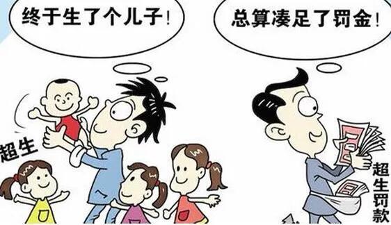 社会抚养费是什么意思