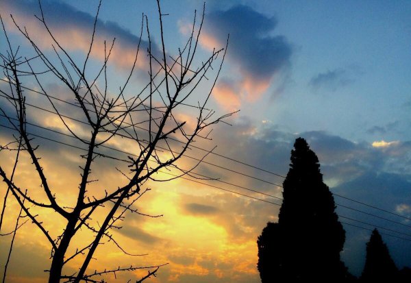 穿越唐朝高评分小说推荐