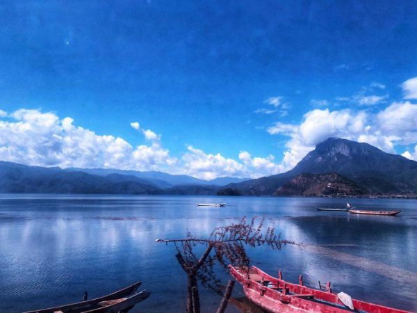 怎样对待打压孩子的老师