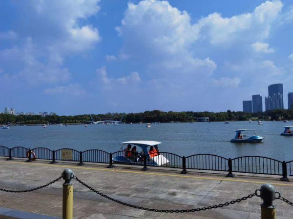 怎样对待打压孩子的老师