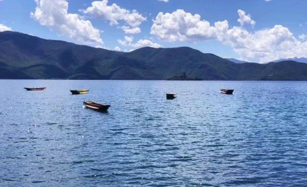 怎样对待打压孩子的老师