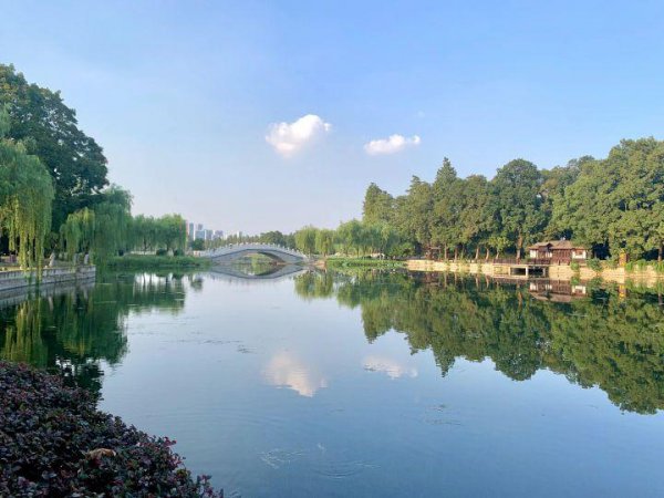 怎样对待打压孩子的老师