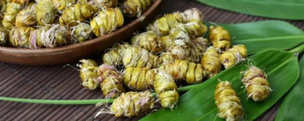 铁皮石斛可以天天吃吗