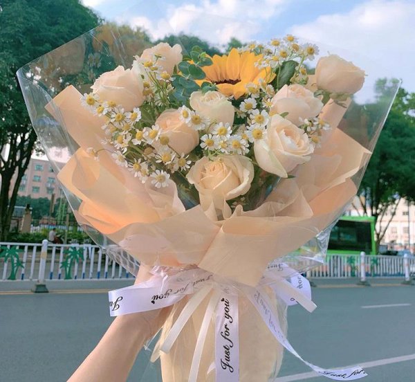 适合送朋友的花及花语