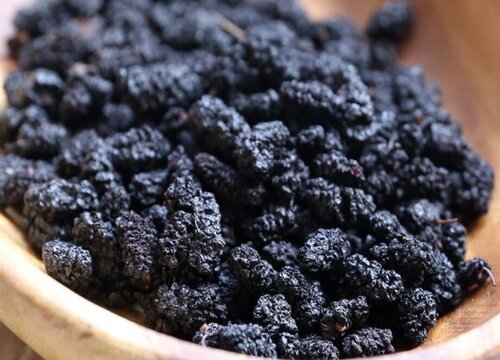 桑葚干泡水一天需几粒会上火吗