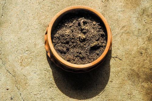 土里面有虫子怎么去除